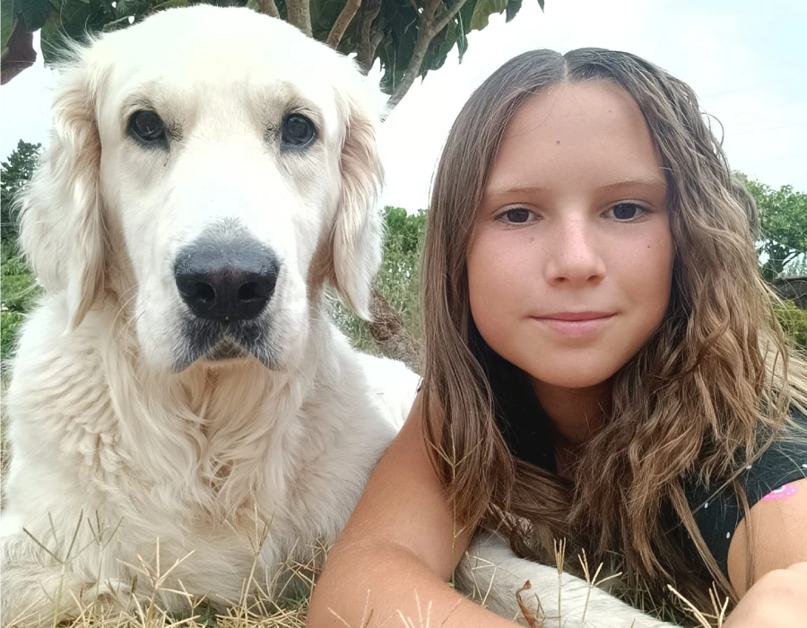 Familia Cria de Golden Retriever